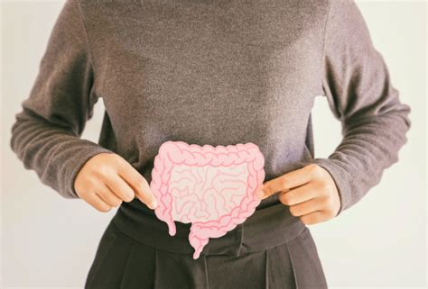 Microbiota intestinal y salud mental cómo lo que comes afecta tu ánimo