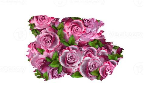 Flower Sublimation Clipart Png 21444149 Png