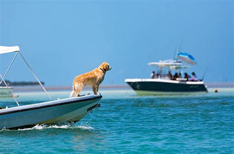 Tides And Currents What To Know For Safe Boating