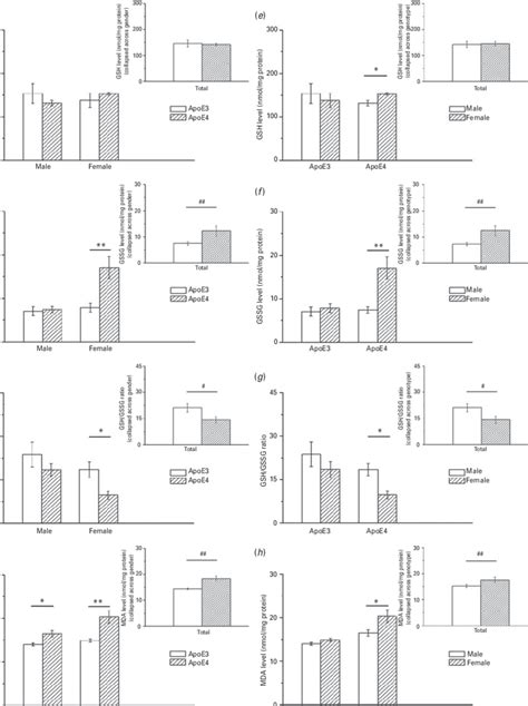 Increased Oxidative Stress In The Cortices Of Apoe4 And Female Mice Download Scientific