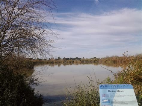 Adventures: Adventures in the Riparian Preserve