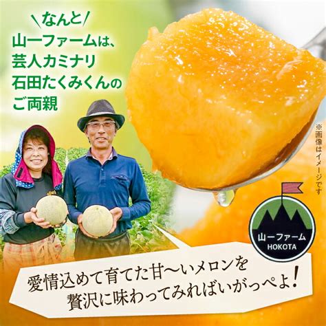 【楽天市場】【ふるさと納税】【定期便】 赤肉青肉食べ比べ！／ メロン 大玉 2ヶ月定期便（4玉）先行予約｜ メロン めろん 定期便 青肉 赤肉 フルーツ 山一ファーム 高級 メロン 金賞 受賞