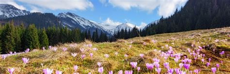 Zakopane Bo E Cia O Pakiet Lub Dni W Zakopanem Weekend