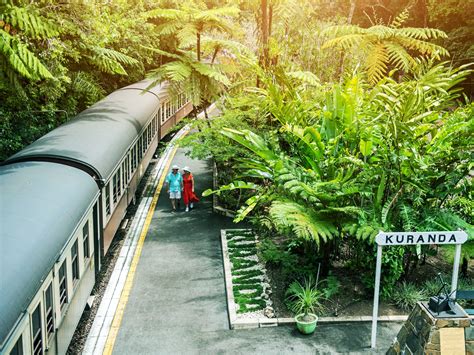 Kuranda Scenic Train Skyrail Self Drive Cairns Discovery Tours