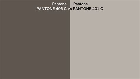 Pantone 405 C Vs Pantone 401 C Side By Side Comparison