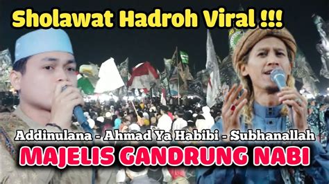 Sholawat Hadroh Viral Addinulana Ahmad Ya Habibi Majelis Gandrung