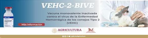 Productora Nacional de Biológicos Veterinarios Gobierno gob mx