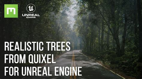 How To Use Megascans Trees In Unreal Engine 5 Tutorial Youtube