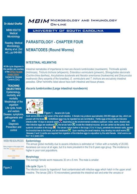 PDF PARASITOLOGY CHAPTER FOUR NEMATODES Round Worms Cidta Usal Es