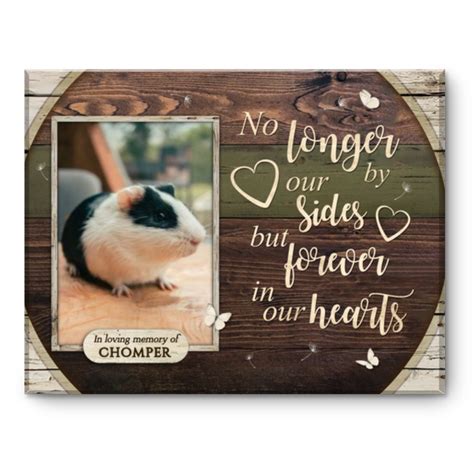 Guinea Pig Memorial Pet Memorial Gift Guinea Pig Memorial Frame