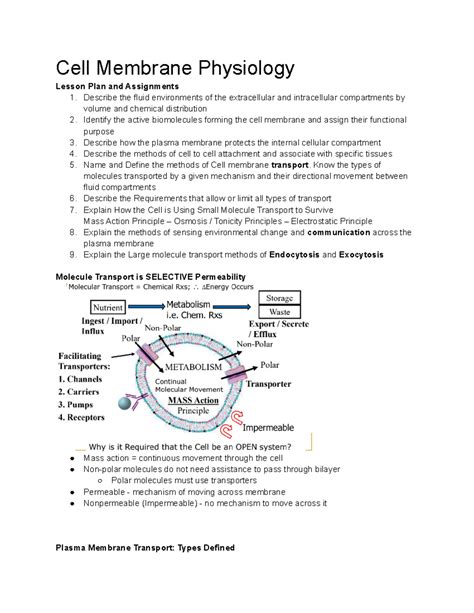 L Cell Membrane Physiology Deprecated Api Usage The Svg Back End Is