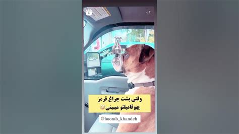 وقتی حوصله ی فامیل رو نداری🤣🤣🤣🤣 Youtube