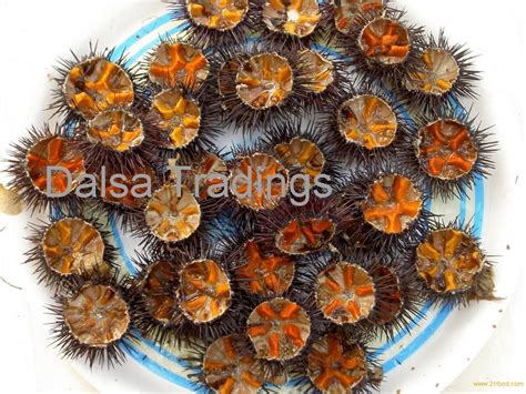 UNI Sea Urchin products,Korea UNI Sea Urchin supplier