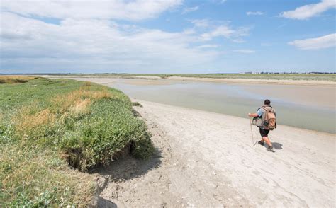 Randonnée en baie de Somme traversée de la baie avec un guide