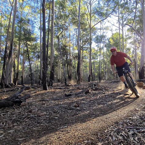 Buttons Fall Jarrahdale Trails Wa Trails Wa