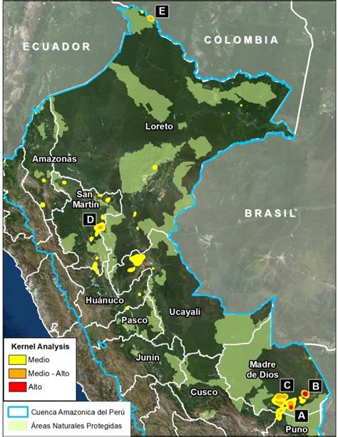 Reportaje Perú Perdió 15 000 Hectáreas De Bosques En Lo Que Va De