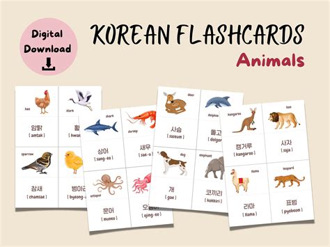 Korean Flashcards, Learning Korean, Basic Vocabulary, Animal Word Cards ...