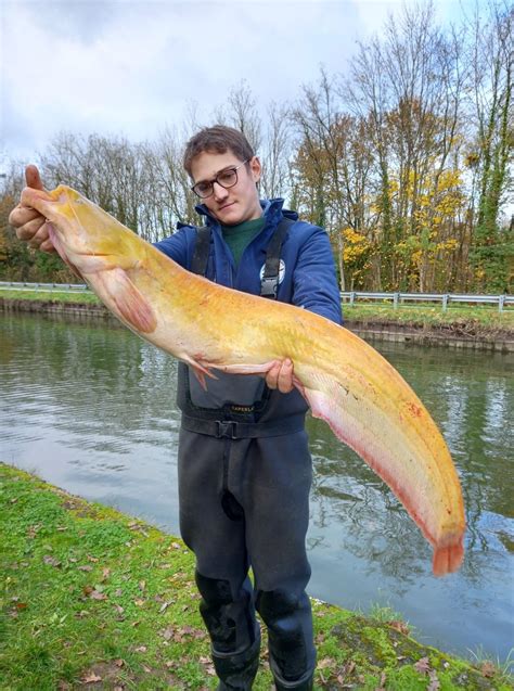 Bilan Des Peches De Sauvetages Canal Du Centre F D Ration De