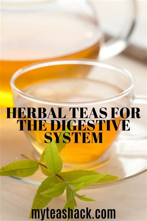 Herbal Teas For The Digestive System My Tea Shack Herbalism Tea