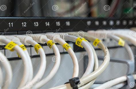 Computer Ethernet Data Lan Cables In A Row Stock Photo Image Of