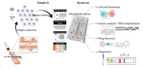 This Figure Show Simple Sample Inresult Out Ability Of