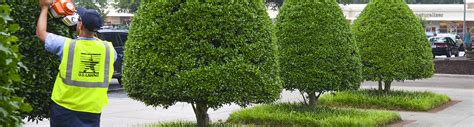 Ornamental Tree And Shrub Installation Oklahoma City South Texas U S Lawns