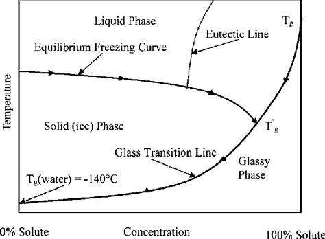 Label The Phase Diagram Of Pure Solvent And A Solution Iffetteigen