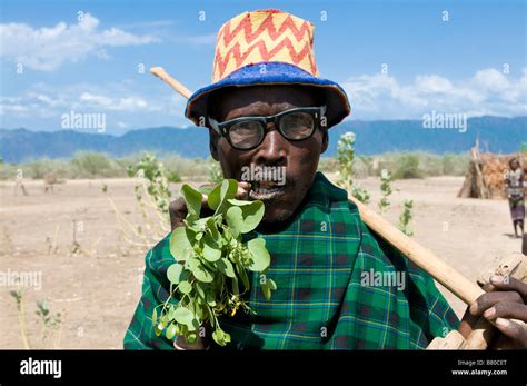 Man Chewing Khat Arbore Omovalley Ethiopia Africa Stock Photo Alamy