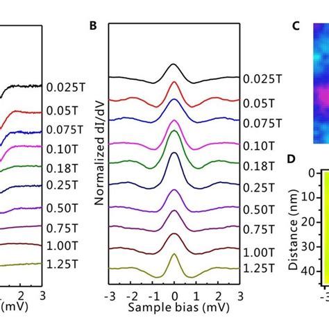 A Series Of DI DV Spectra Measured At Various Magnetic Fields At A