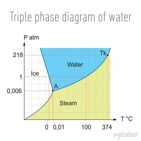 Triple Phase Diagram Of Water Posters For The Wall • Posters Layer