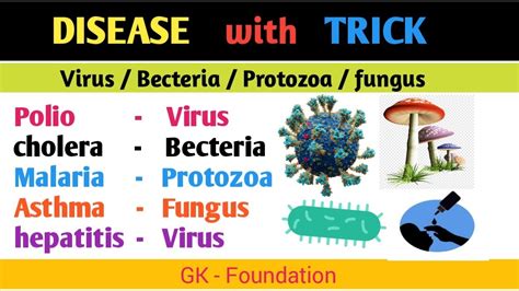 Diseases Gk Human Disease Gk Viral Bacteria Fungal Diseases