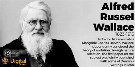 Alfred Russel Wallace Theory Of Evolution