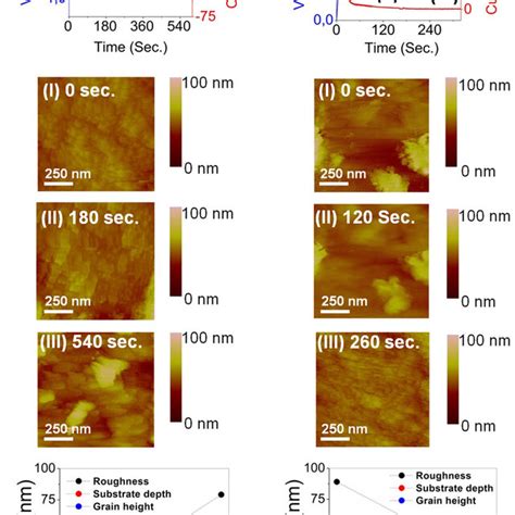 A STM Measurements Of The Electrodepositions Of Co On Au At 1 0 V