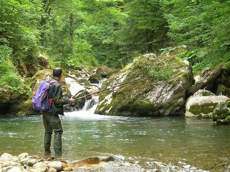 Environnement Louverture de la pêche à la truite cest lévénement