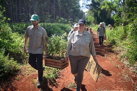 Fundación Greenpeace Argentina Misiones Comunidades guaraníes y