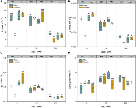 Frontiers Sex Specific Differences In The Physiological And