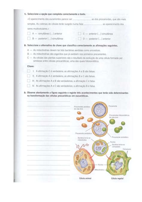 Ft Evolu O Biologica Ficha De Trabalho Biologia Biologia E