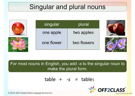 Singular And Plural Regular Nouns English ESL Powerpoints