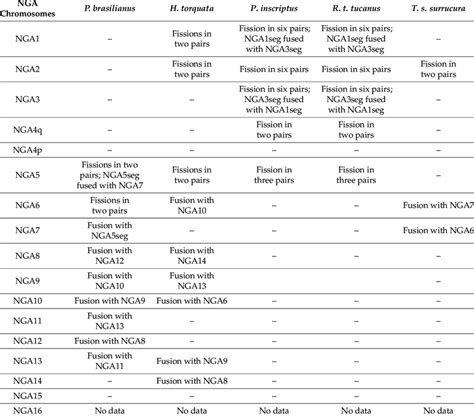 Patterns Of Interchromosomal Rearrangements Revealed In The Karyotype