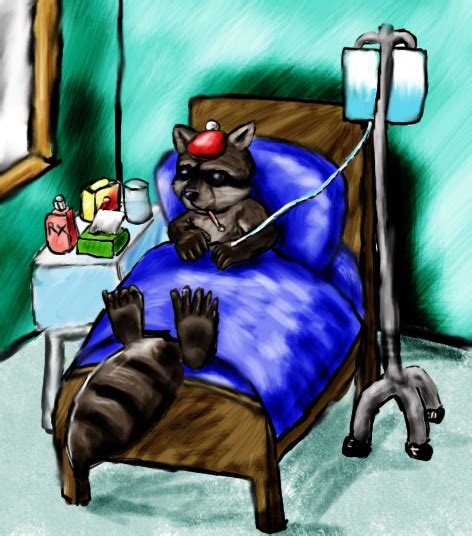 Sick Raccoon by Shizuru-Minamino on DeviantArt