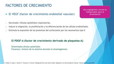 Fisiologia Pulmonar Fetal Pptx