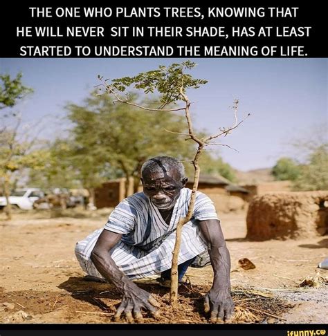 The One Who Plants Trees Knowing That He Will Never Sit In Their Shade