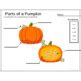 Pumpkin Labeling And Writing With Anchor Chart And Writing Prompts