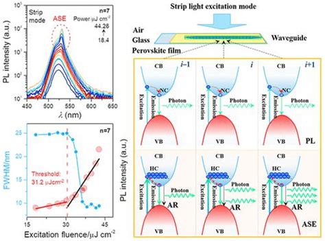 Competition Of Carrier Kinetics Contributes To Amplified Spontaneous