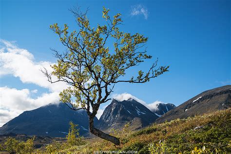 Hiking The Kungsleden Trail Sweden In Autumn Part 1 Berlin To