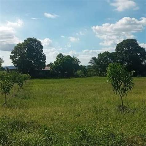 1 Hectare Farm Lot Lot 🚜 January 2023 In Tuy Batangas For Sale