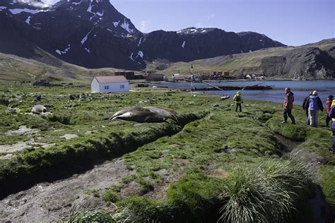 South Georgia and the South Sandwich Islands Map - Islands of the Southern Ocean - Mapcarta