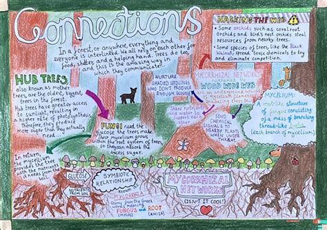 Jessica's Stellar Achievement - British Science Week Poster Competition ...