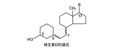 专家课堂 补钙为什么要补维生素d？钙与维生素d的关系七问！补充食物合成