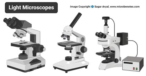 32 Microscope Parts And Use Worksheet Answers Support Worksheet